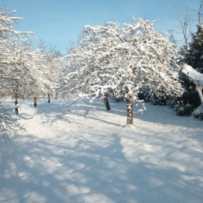 image000003